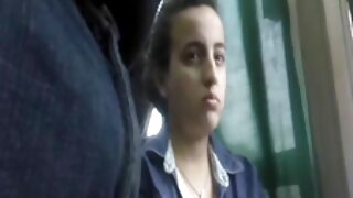 Հոլանդիայից ազնվամոր ...