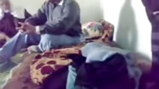 Սեքսուալ ժամանց լոգա ...