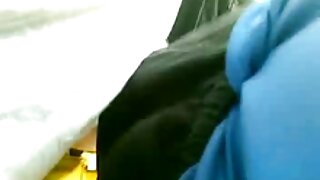 Պրոֆեսիոնալ անալ կատ ...
